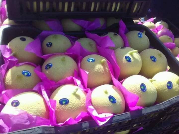 Aton Green Egypt Fresh Fruits & Vegetables